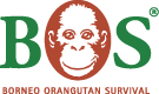 BORNEO ORANGUTAN SURVIVAL