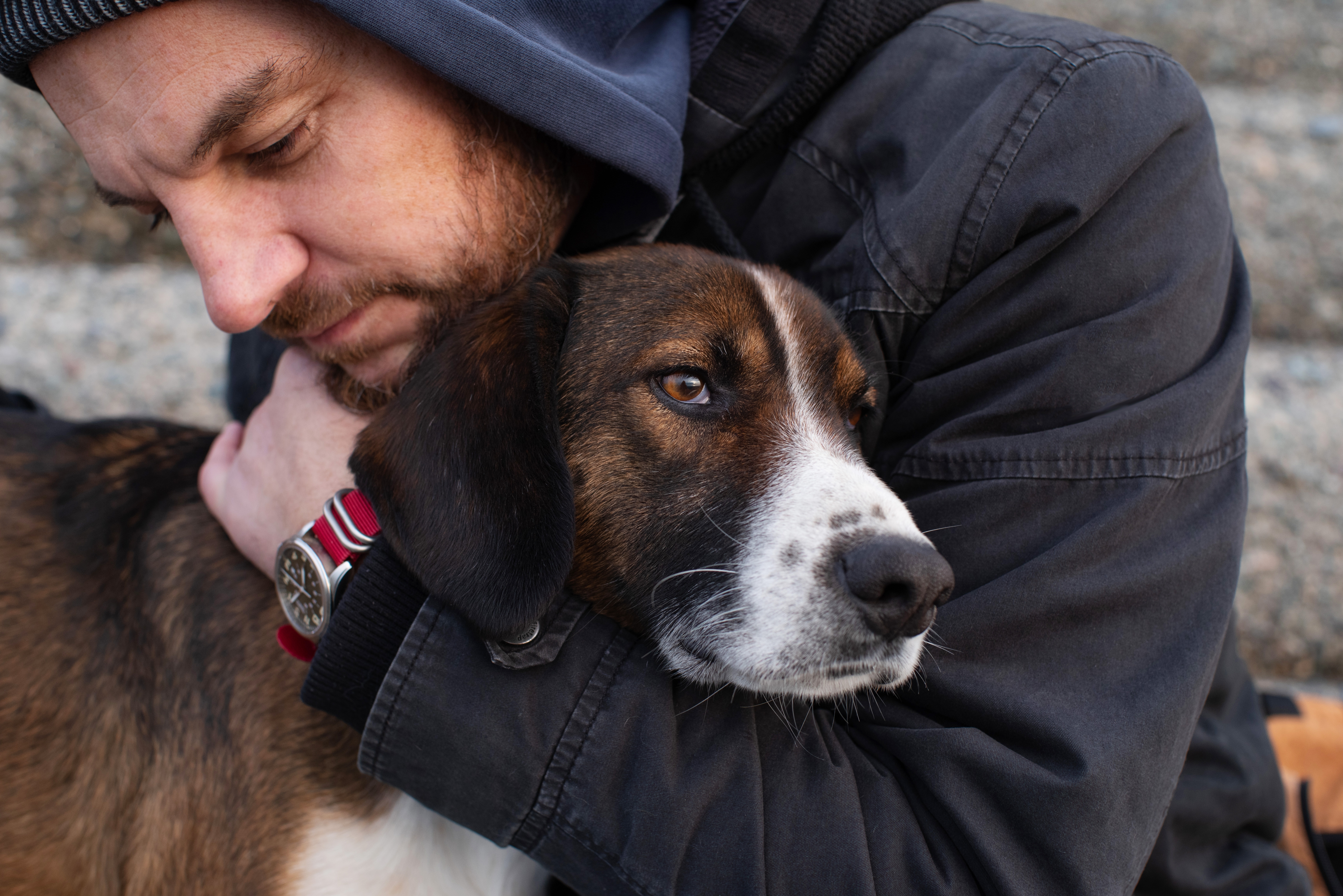 Damit kein Napf leer bleibt – Hilfe für Menschen und Tiere