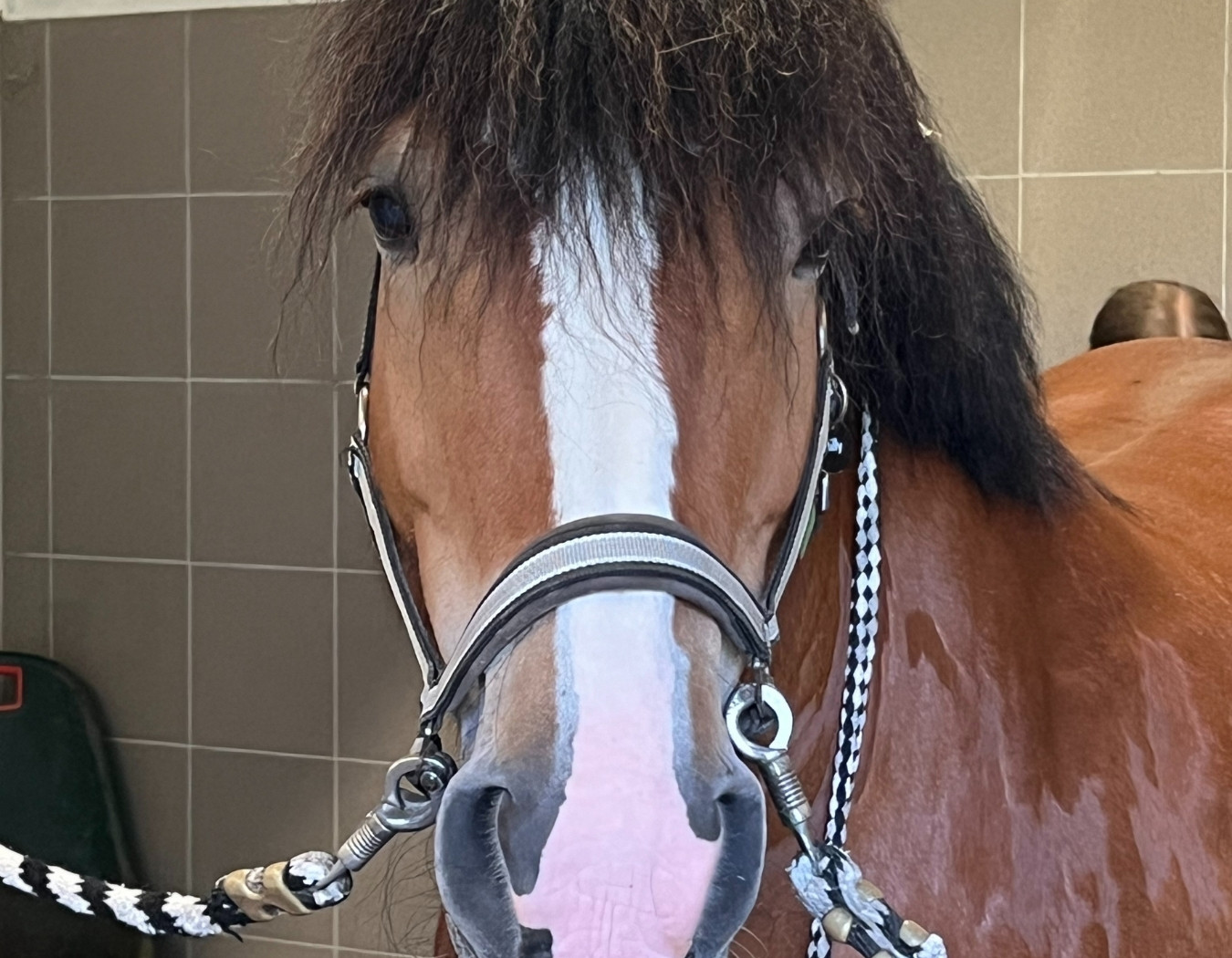 Reittherapie für ein beeinträchtigtes Kind auf dem Carolinenhof